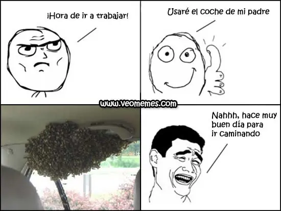 traigo