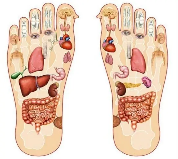 ¿Órganos sanos de un cadáver?