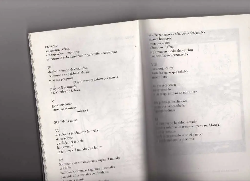 poesía