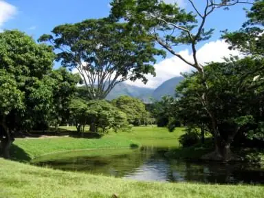 guayanas