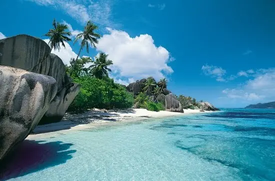 TROPICAL