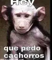 risas