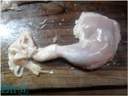 Pollo