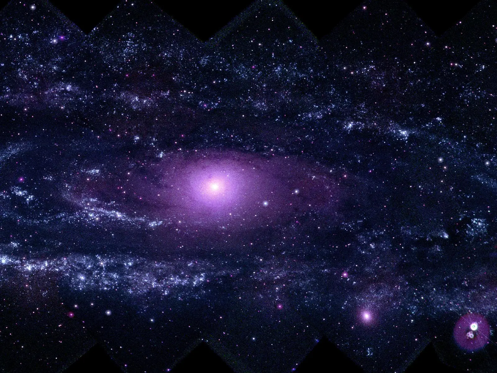 cosmos