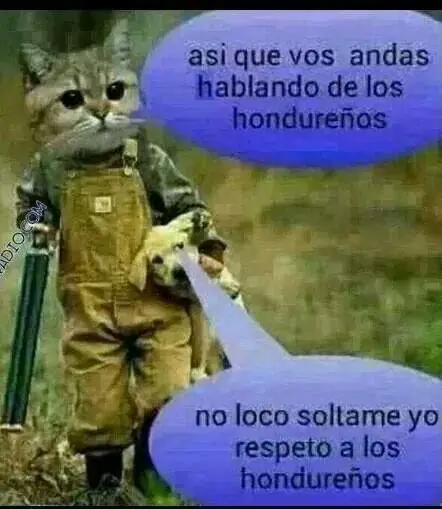 Chiste