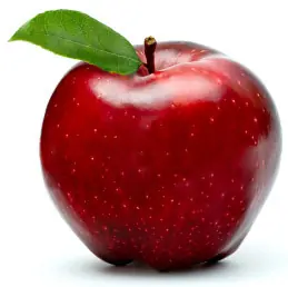 dieta