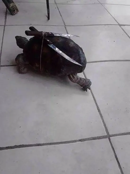 Noche aburrida y yo con este megacrap, que picardía