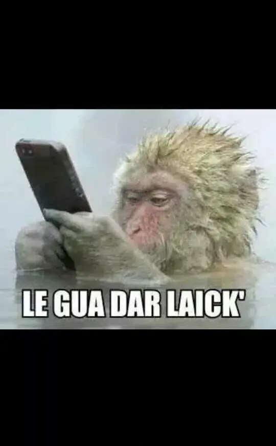 humor
