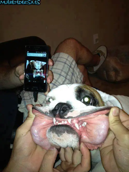 Noche aburrida y yo con este megacrap, que picardía