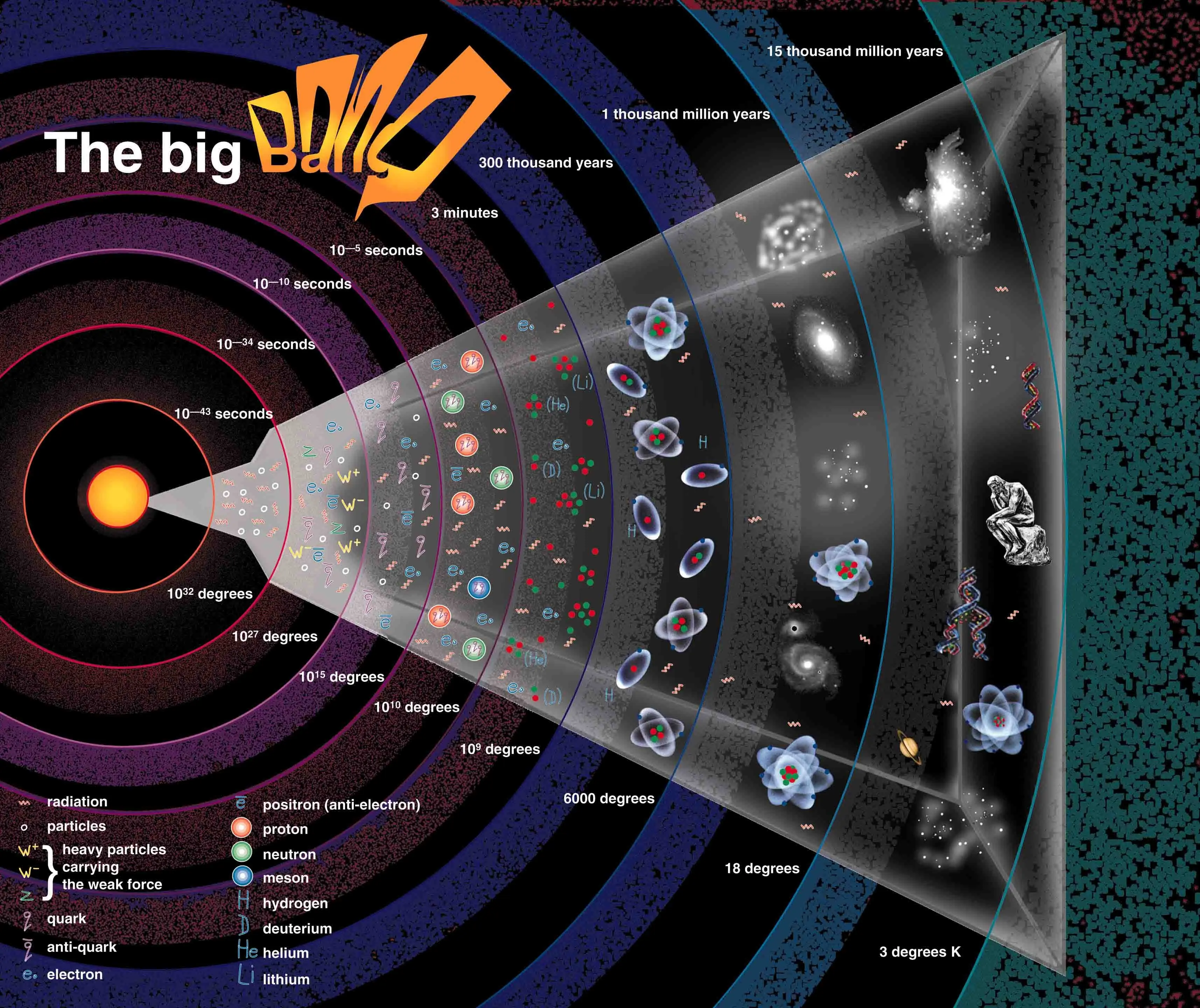 cosmos