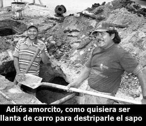 risas