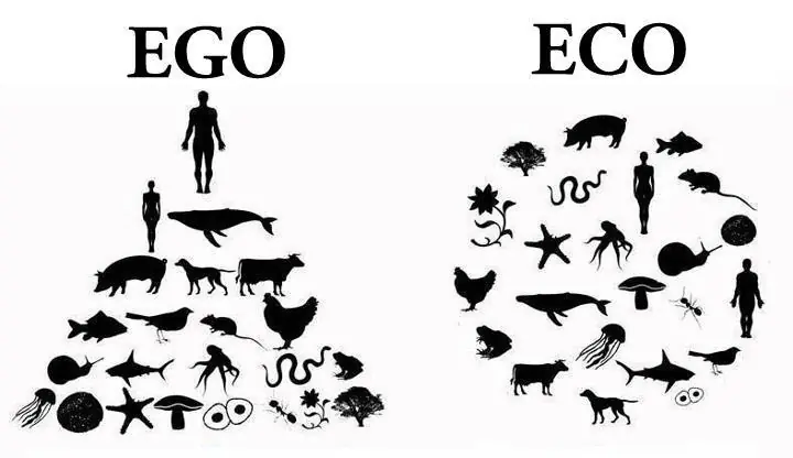 Desmintiendo el post: "El veganismo es una mentira"