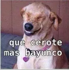 Chiste