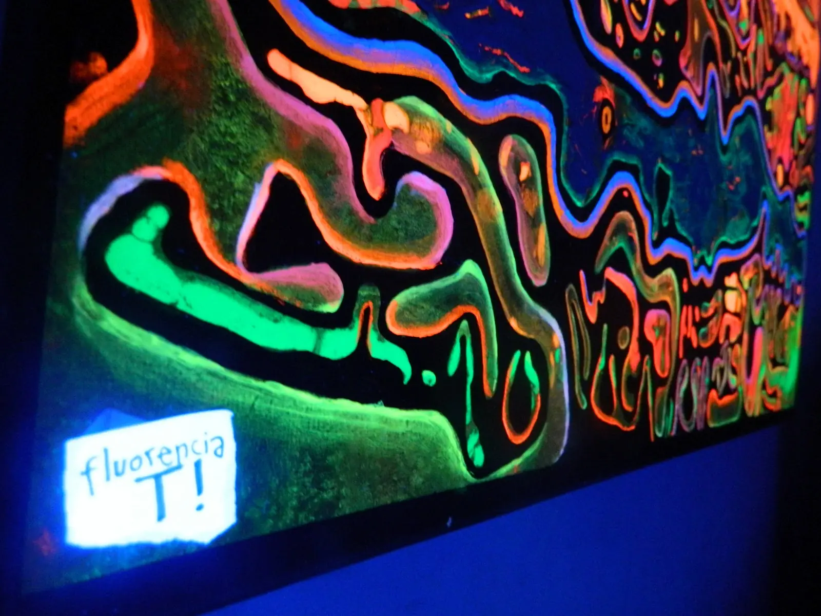 Mis pinturas fluorescentes (Umbilical- Eelectrics)