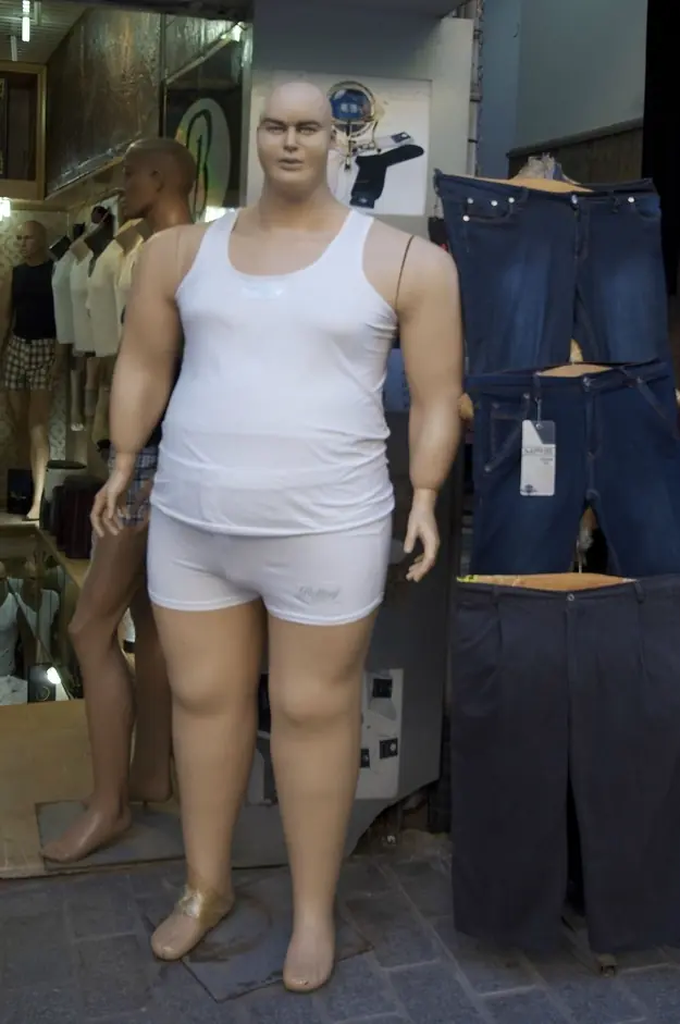 modelos