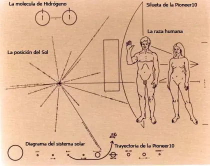 cosmos