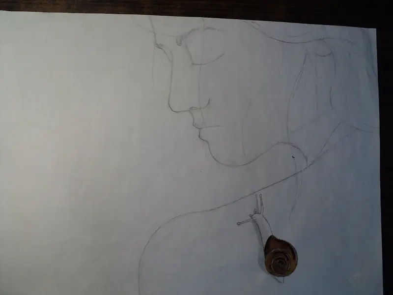 Dibujo