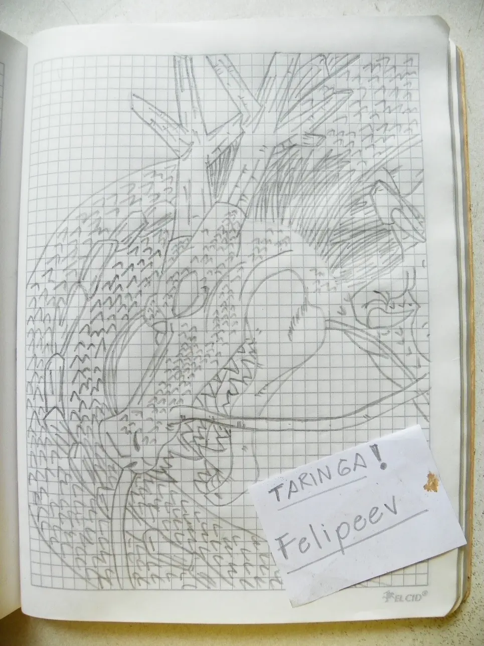Dibujo