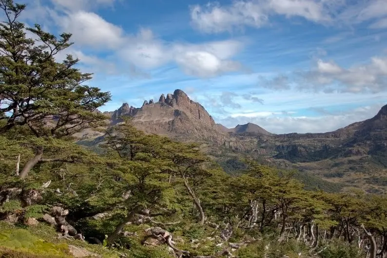 canal del beagle