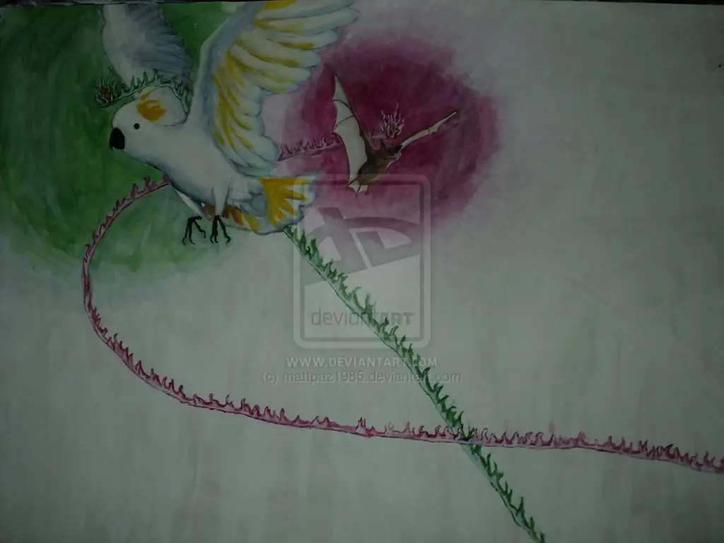 algunos dibujos y cuadros