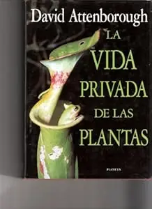 naturaleza viva