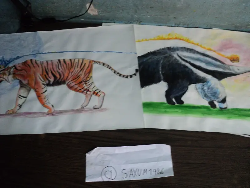 algunos dibujos y cuadros