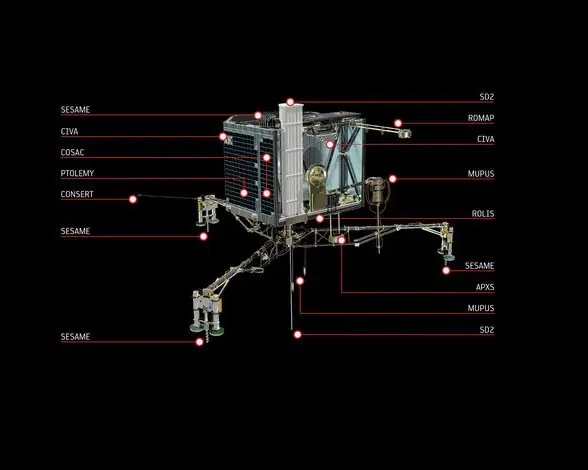 rosetta