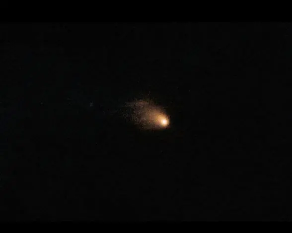 rosetta