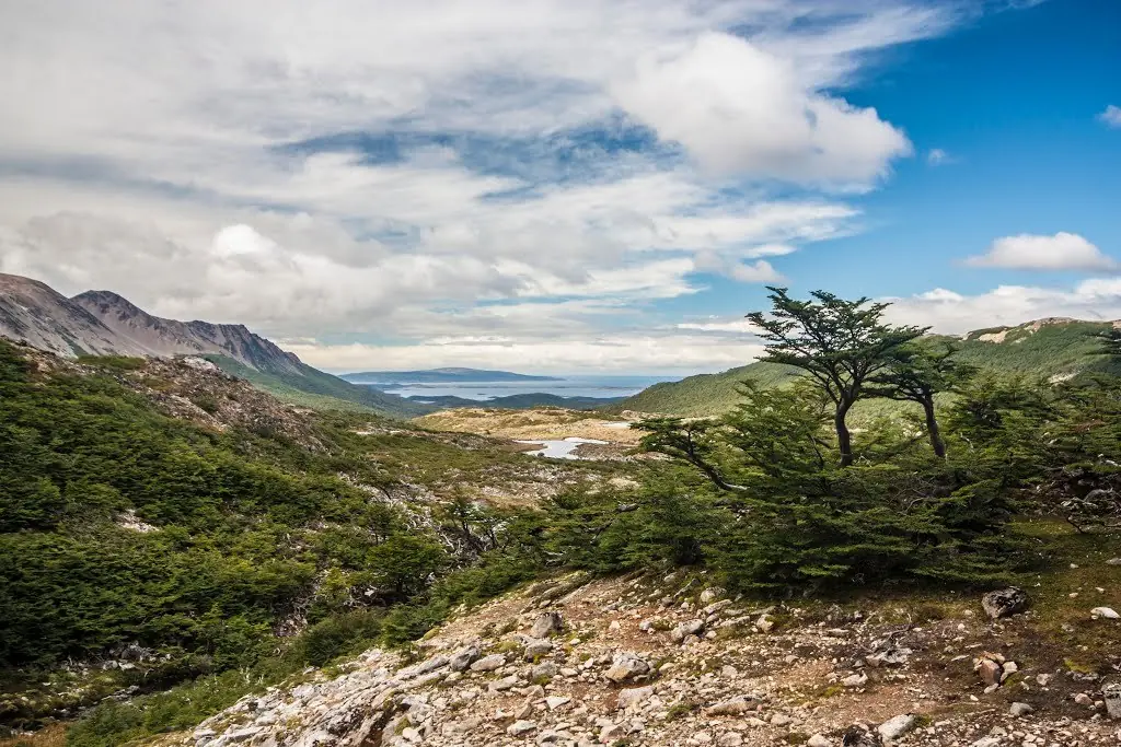 puerto williams