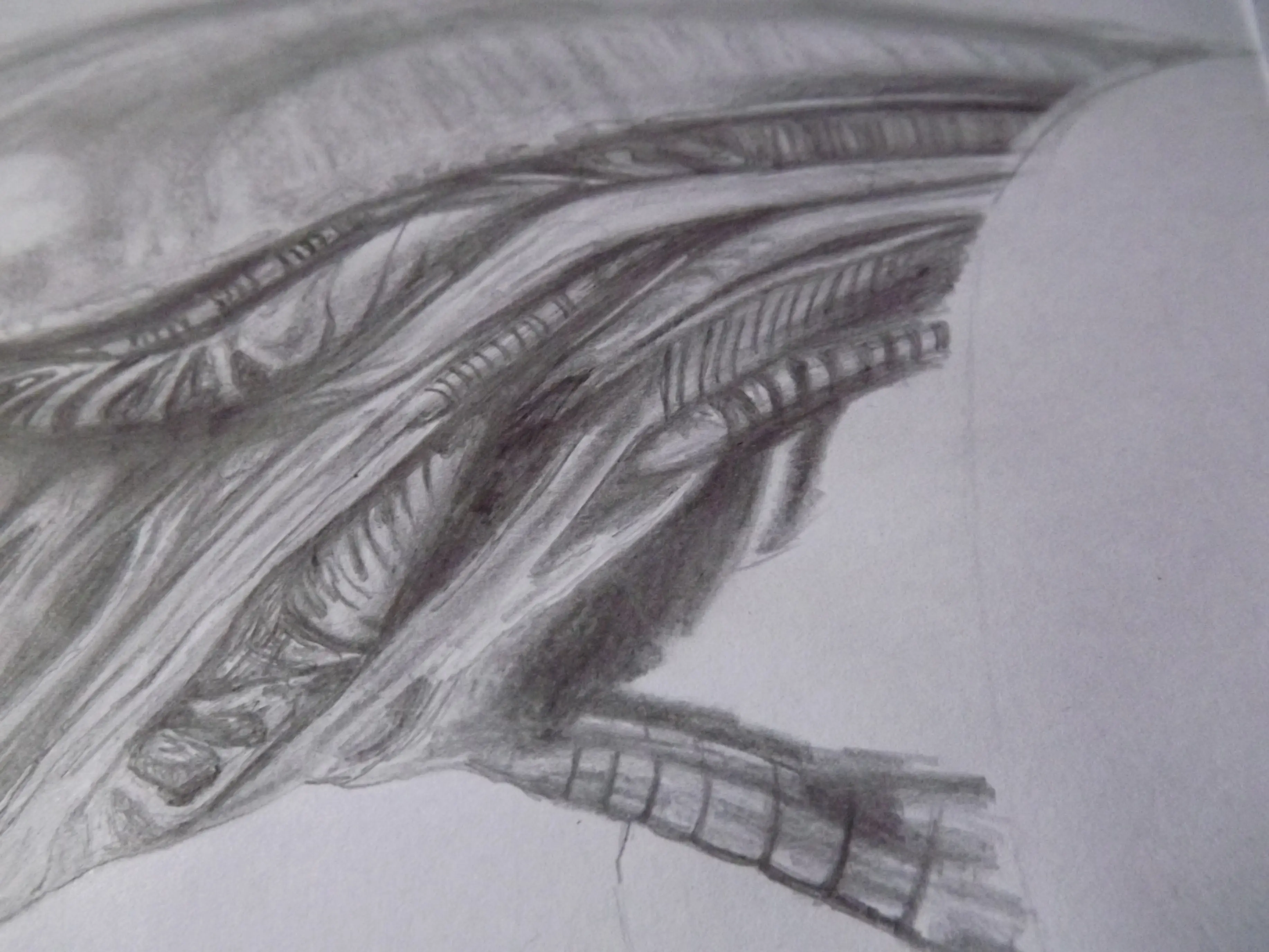 xenomorfo