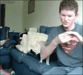 fail