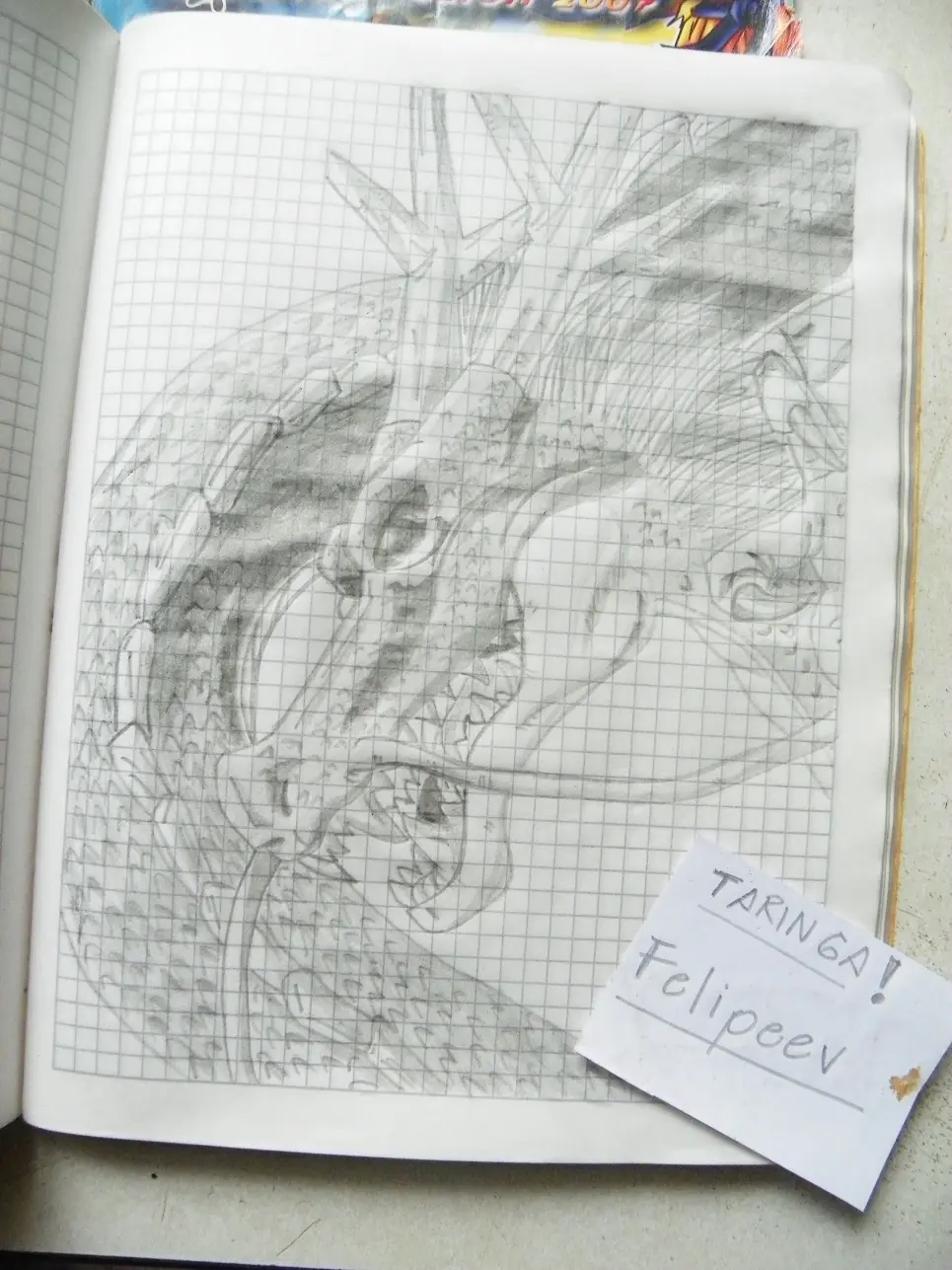 lapiz