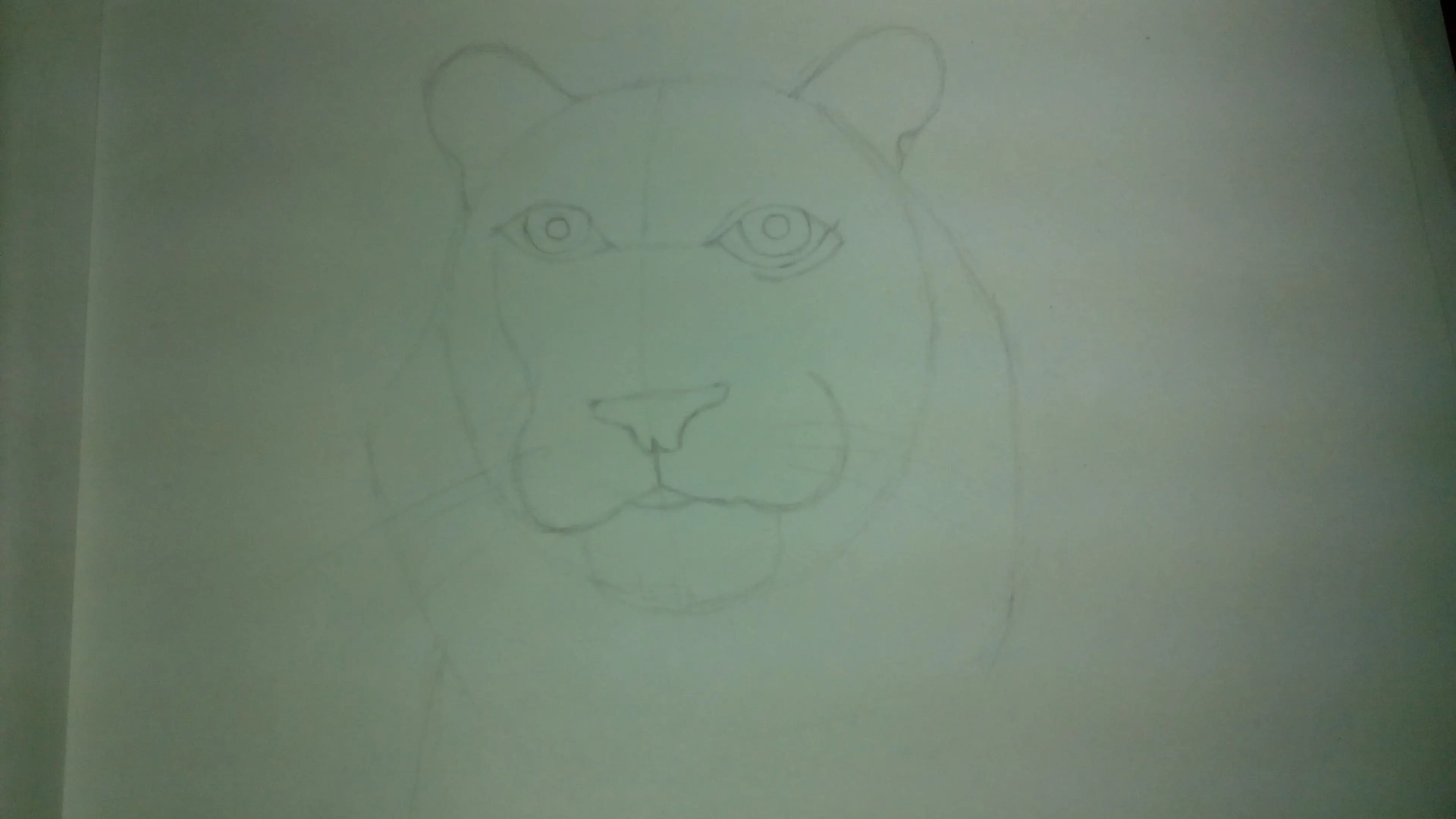 Dibujo