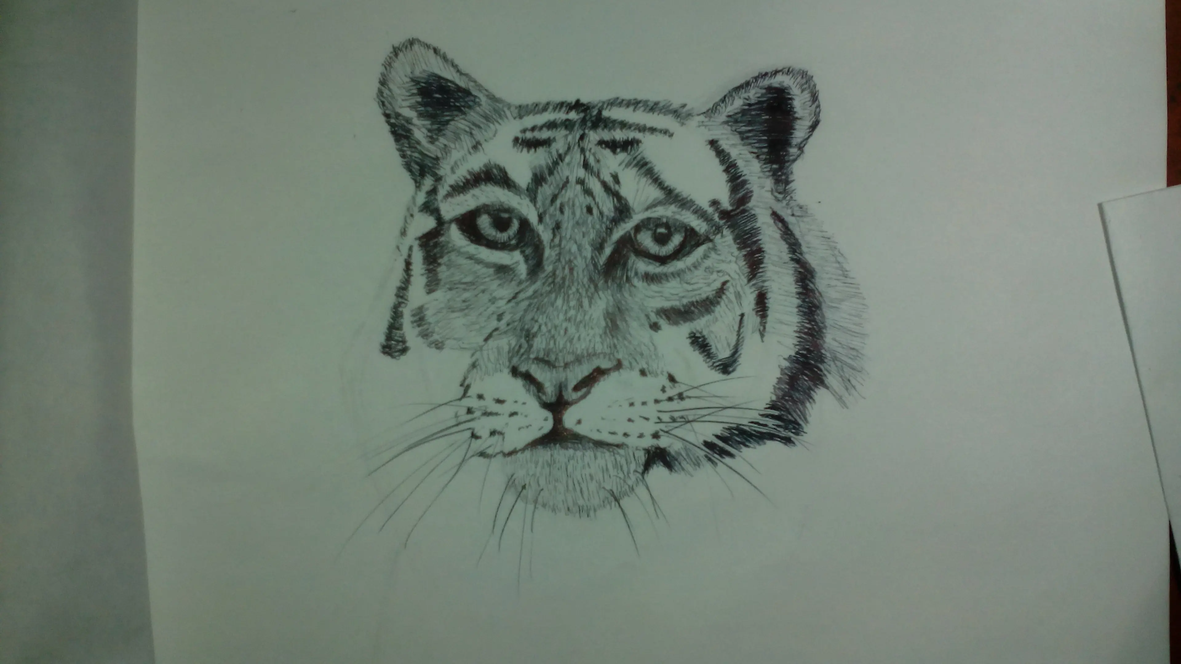 Intento de "Tigre" en Lapicero.