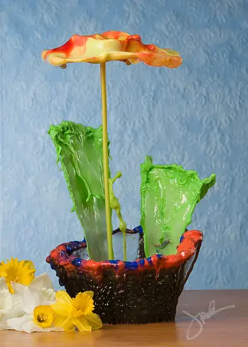 Impresionantes flores de agua!!
