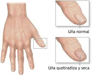 uñas para tocar flamenco