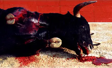 corridas de toros
