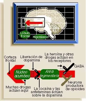 EL uso de la marihuana, lo bueno y lo malo