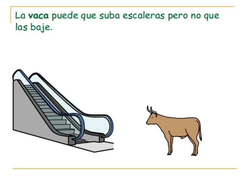 animales domesticos