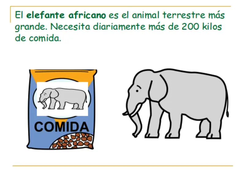 cocodrilos