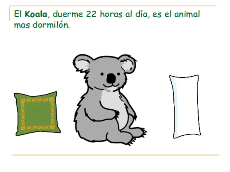 Curiosidades sobre los animales (JD)