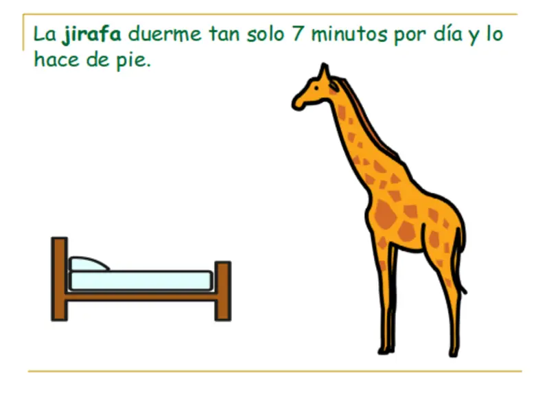 fauna