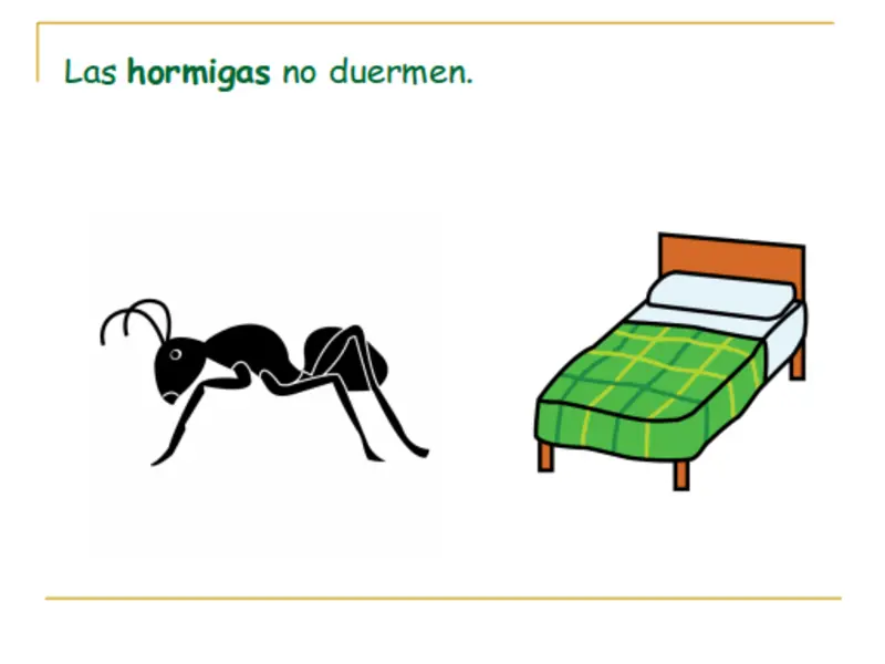camellos