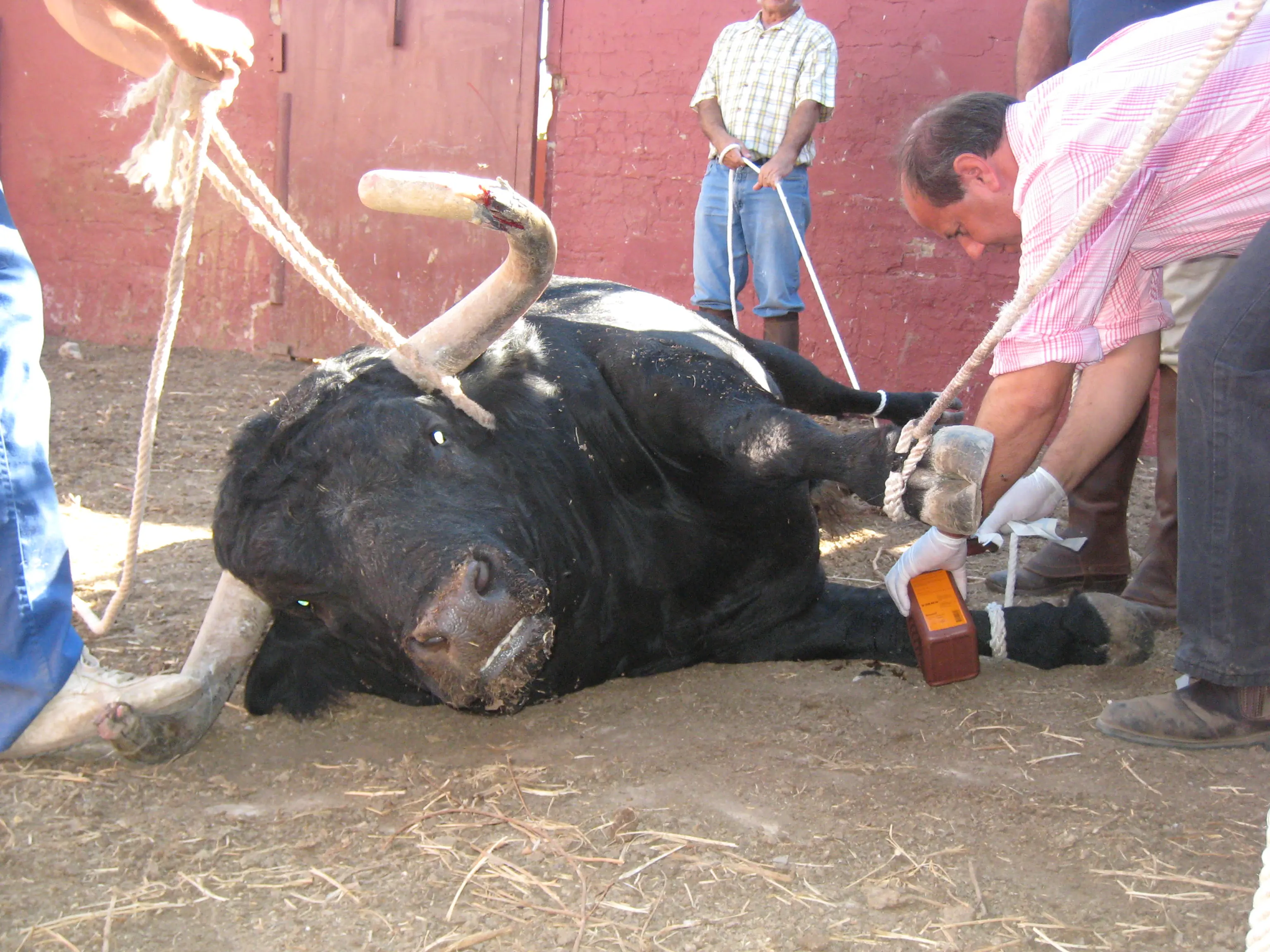 Muerte