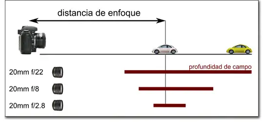 diafragma