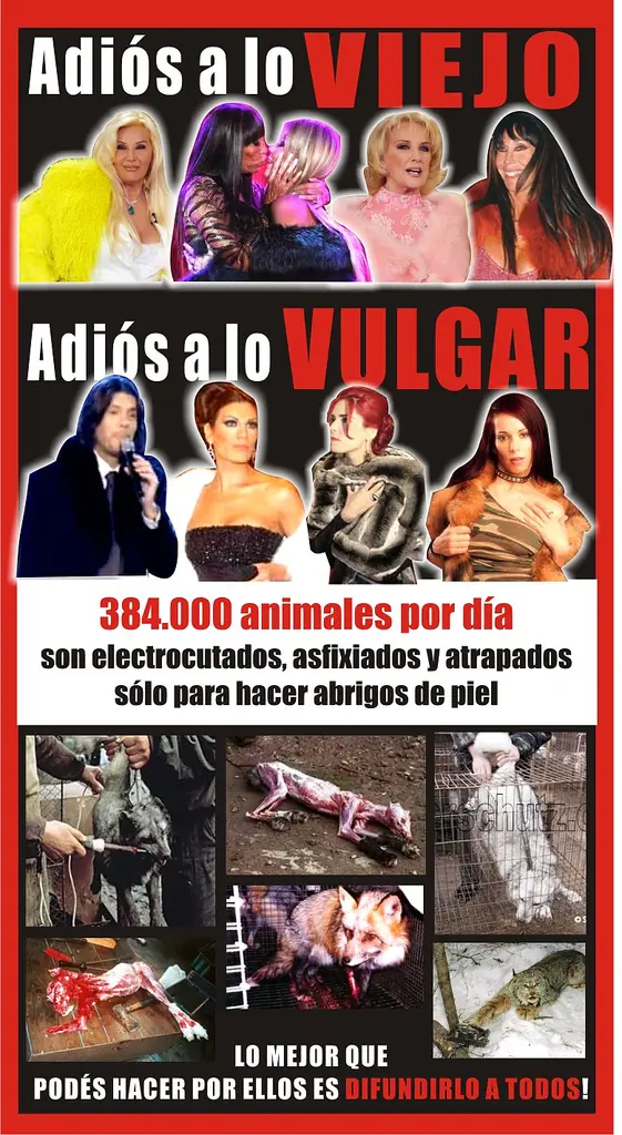Animales
