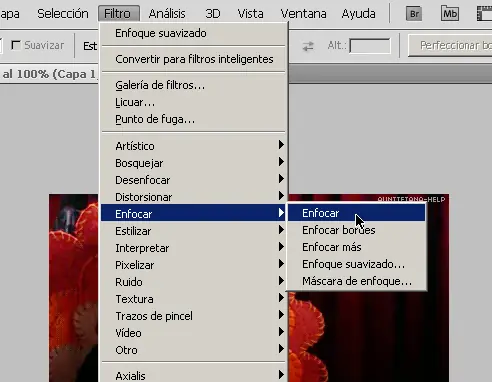 consejos
