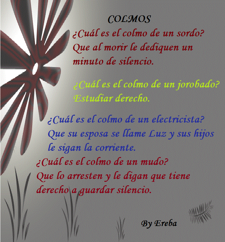 videos graciosos