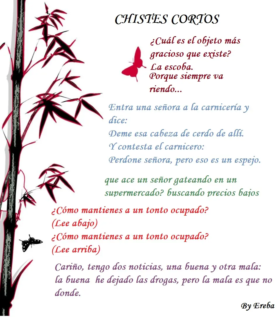 Todo Humor, los mejores chistes, videos y animaladas