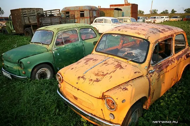 cementerio de autos